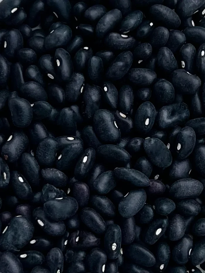 Frijol Negro Michigan