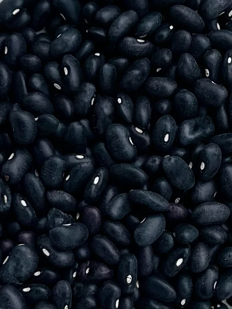 Frijol Negro Michigan