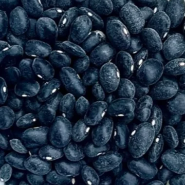 Frijol Negro Bola