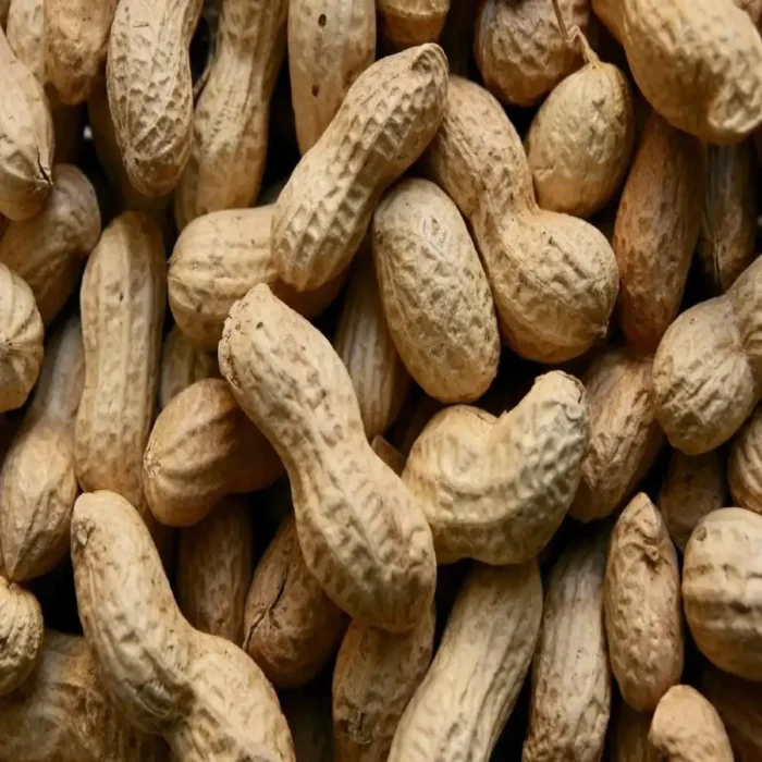 Cacahuate 5kg