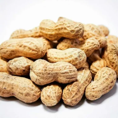 Cacahuates nayarit
