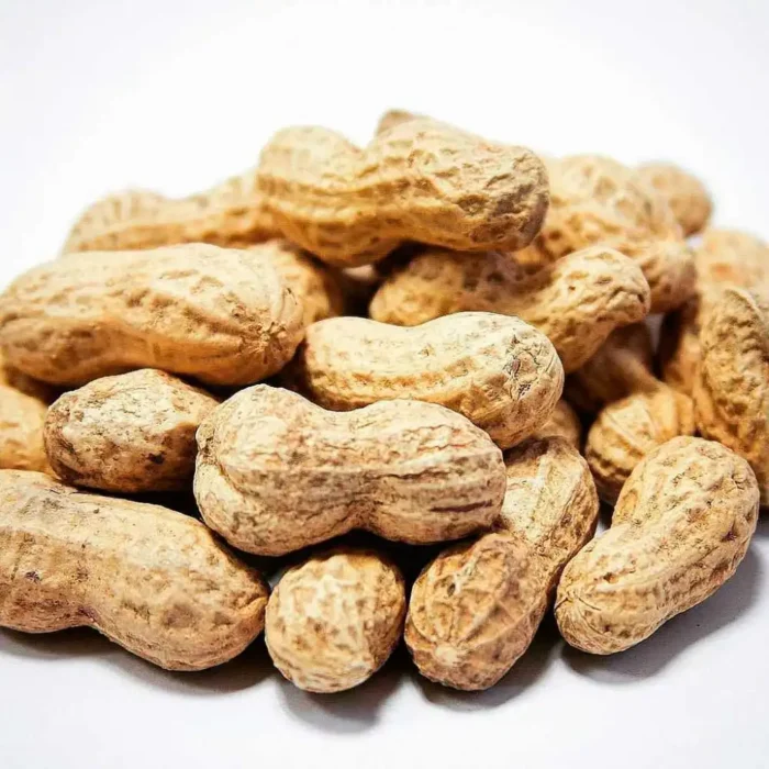 Cacahuates nayarit