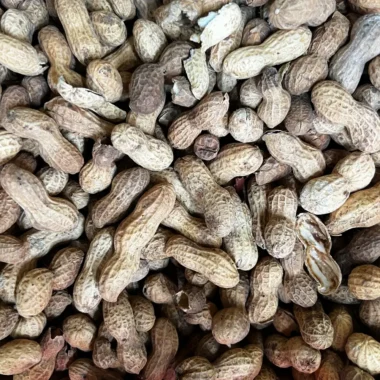 Cacahuate nacional Caritas
