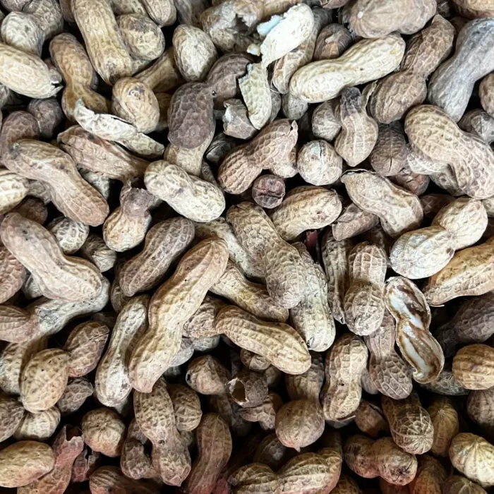 Cacahuate nacional Caritas