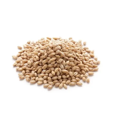Cebada perla 25 kg