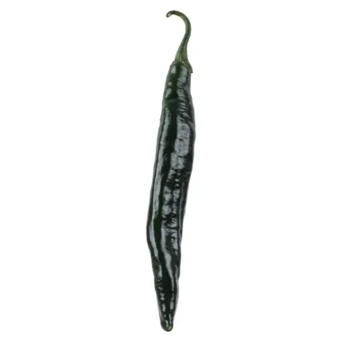 Chile Chilaca chino