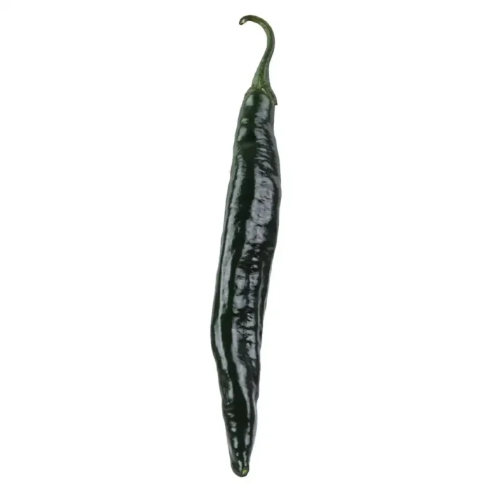 Chile Chilaca chino