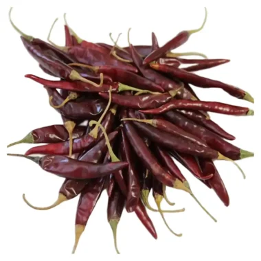 Chile puya
