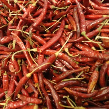Chile Yahualica