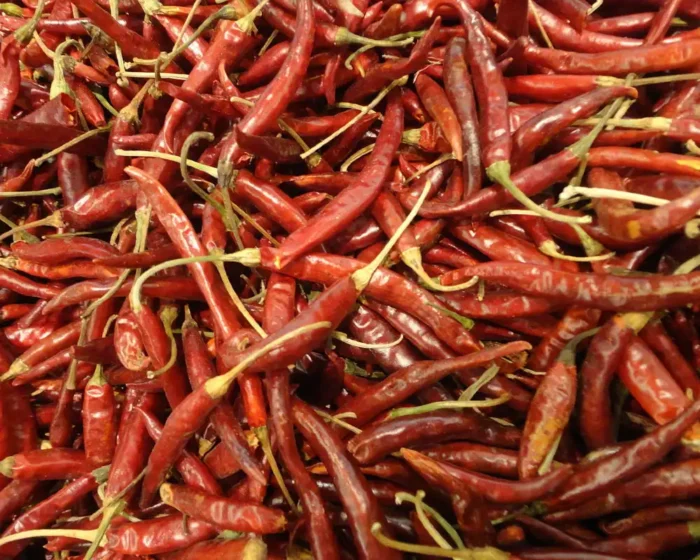 Chile Yahualica