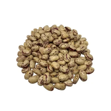 Frijol cacahuate