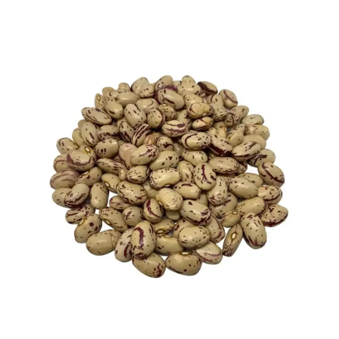 Frijol cacahuate