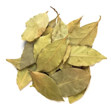 Hojas de Laurel
