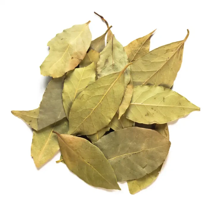 Hojas de Laurel