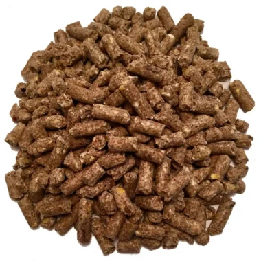 Nutriborrego 40kg