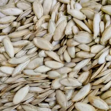 Semilla de calabaza Tapatía