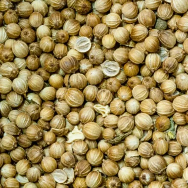 Semilla de cilantro